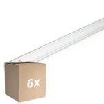 Confezione Multipack 6x Philips T8 UV - C 36W - Ultravioletto | 120cm