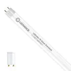 Ledvance Tubo LED T8 Value (EM/Mains) Standard Output 11.6W 1400lm - 865 Luce del Giorno | 105cm - Sostitutiva 38W
