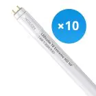 Confezione Multipack 10x Noxion Tubo LED T8 Avant Extreme (HF) High Output 14W 1950lm - 830 Luce Calda | 120cm - Sostitutiva 36W